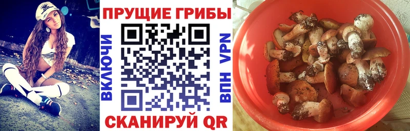 Псилоцибиновые грибы MAGIC MUSHROOMS  Тамбов 