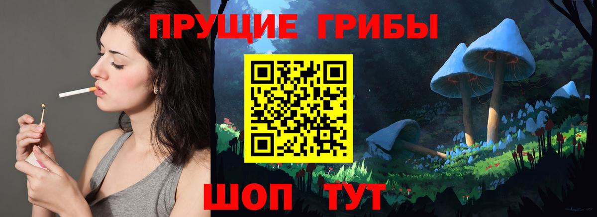купить закладку  Псилоцибиновые грибы Psilocybine cubensis  Тамбов  Вход с VPN  Галлюциногенные грибы мухоморы 