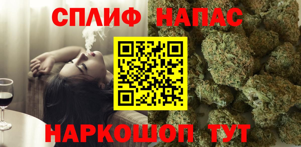 Бошки марихуана конопля Тамбов
